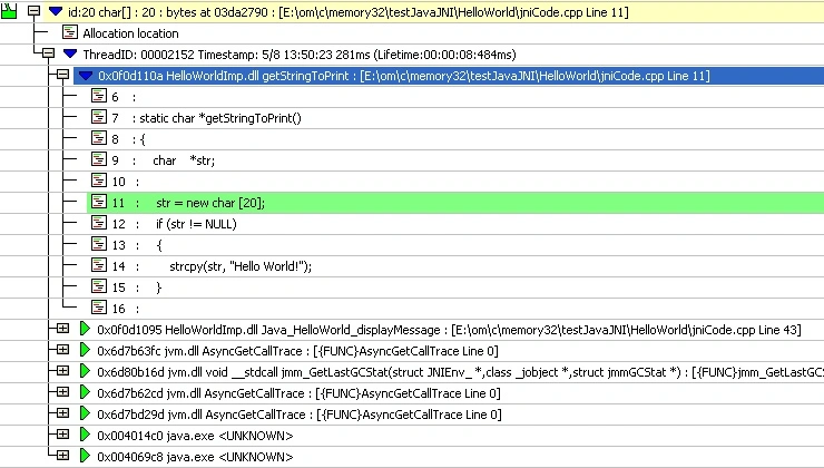 Detail view of source code of memory leak in JNI code