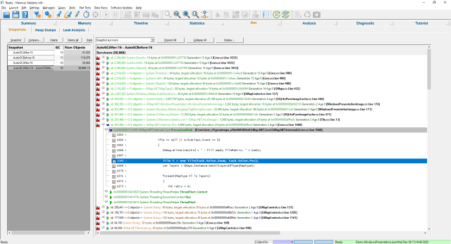 Memory Validator .Net memory snapshot tab