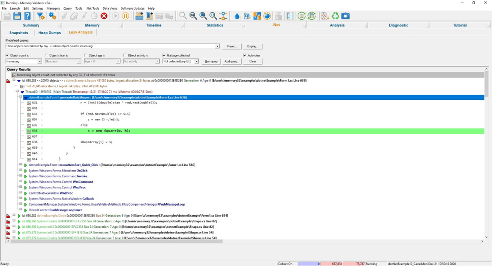 Memory Validator .Net memory leak analysis