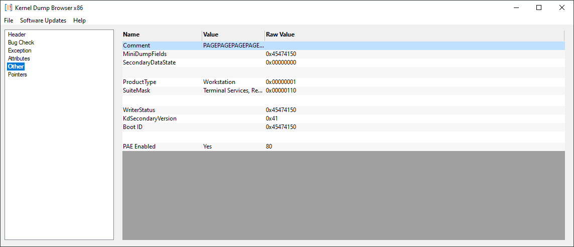 Bluse Screen of Death kernel dump other