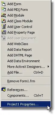 Visual Basic Project Menu