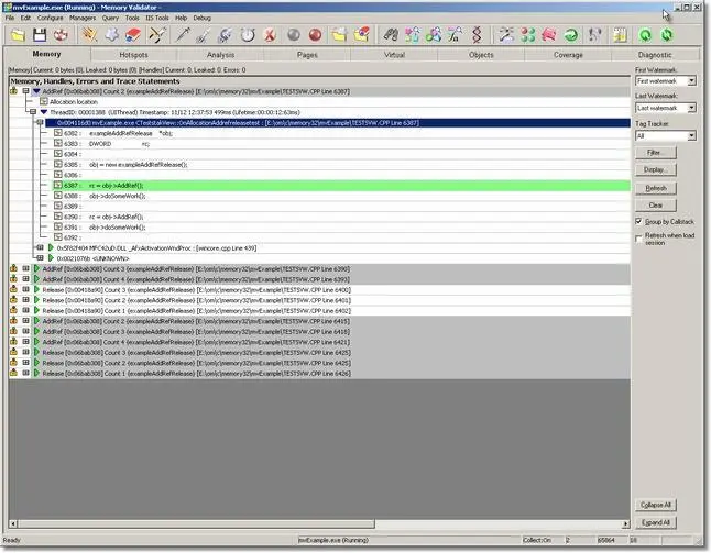 Memory Validator AddRef/Release results