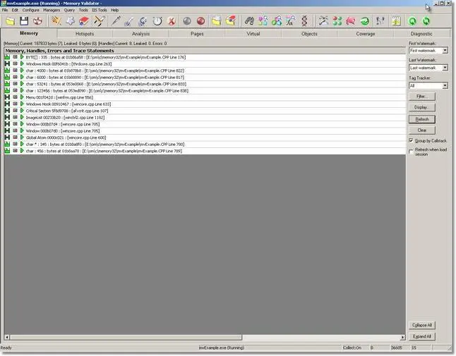 Memory Validator tracking memory allocations of a particular size results