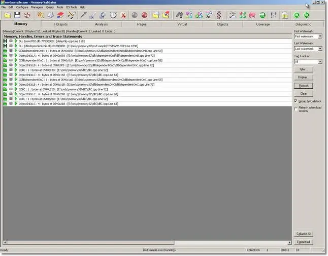 Memory Validator displaying results only for a specific DLL