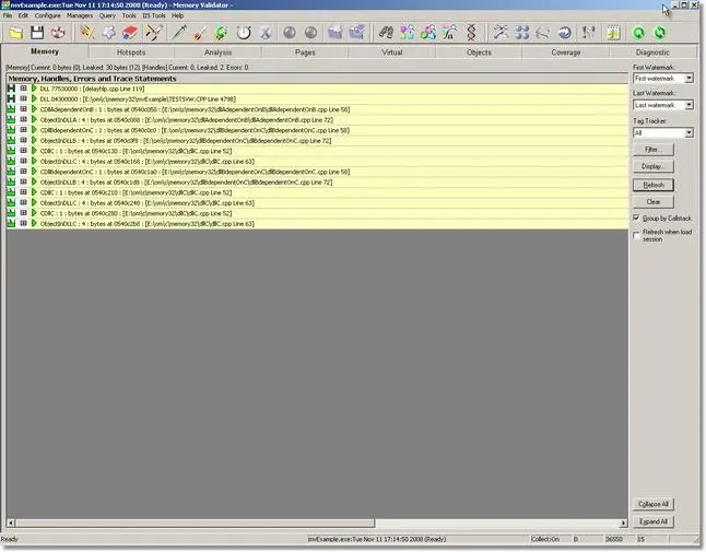 Memory Validator display memory leaks results for a specific DLL