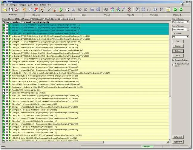 Memory Validator memory leak results