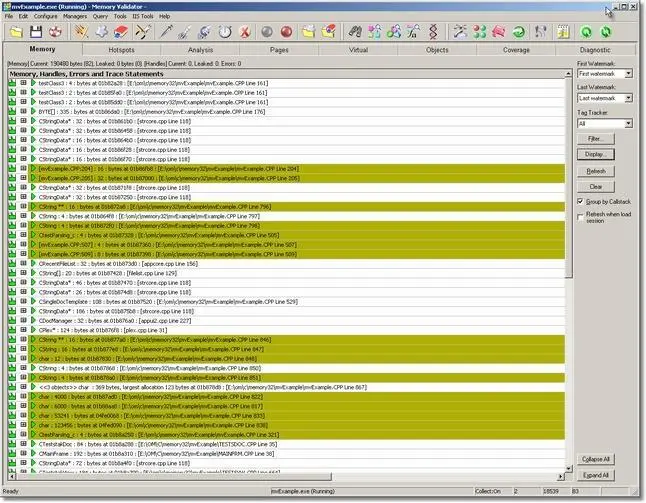 Memory Validator potential leak detect