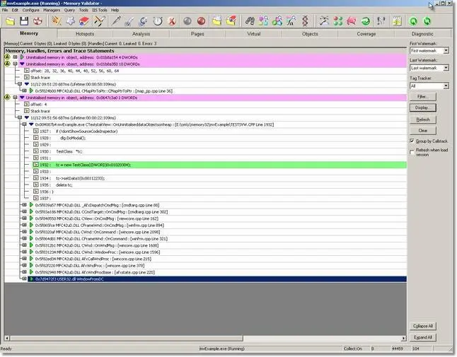 Memory Validator uninitialised data results