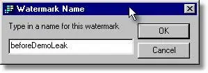 Memory Validator watermark name dialog