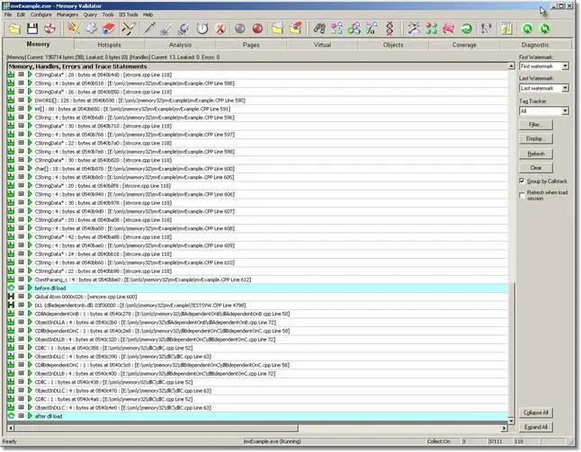 Memory Validator results display with watermarks