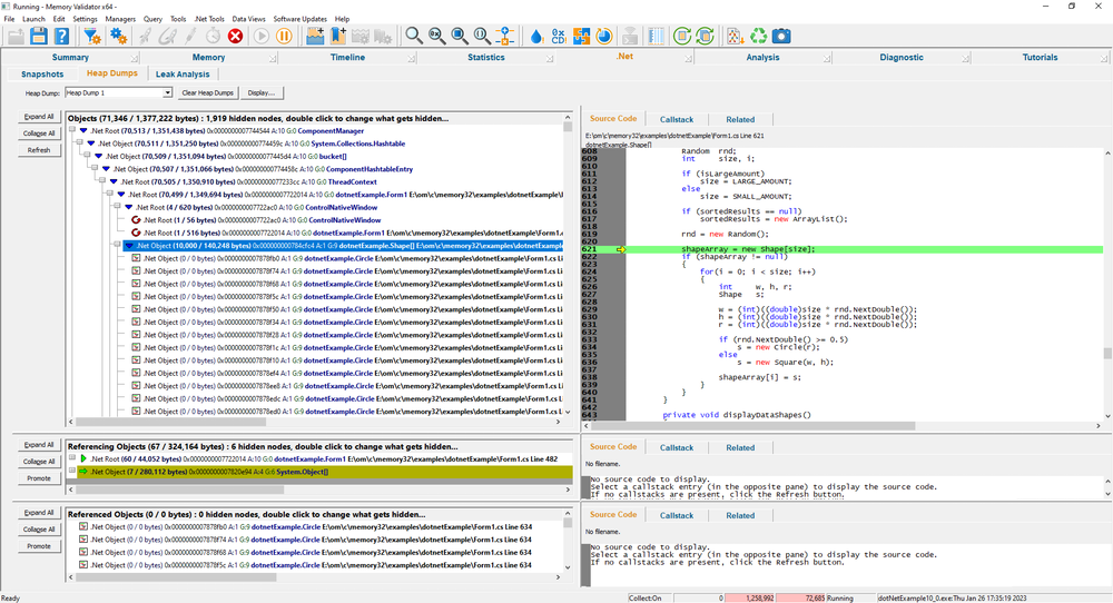 Memory Validator .Net heap dump