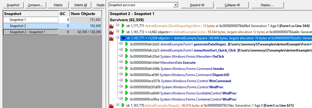 Memory Validator .Net snapshots detail