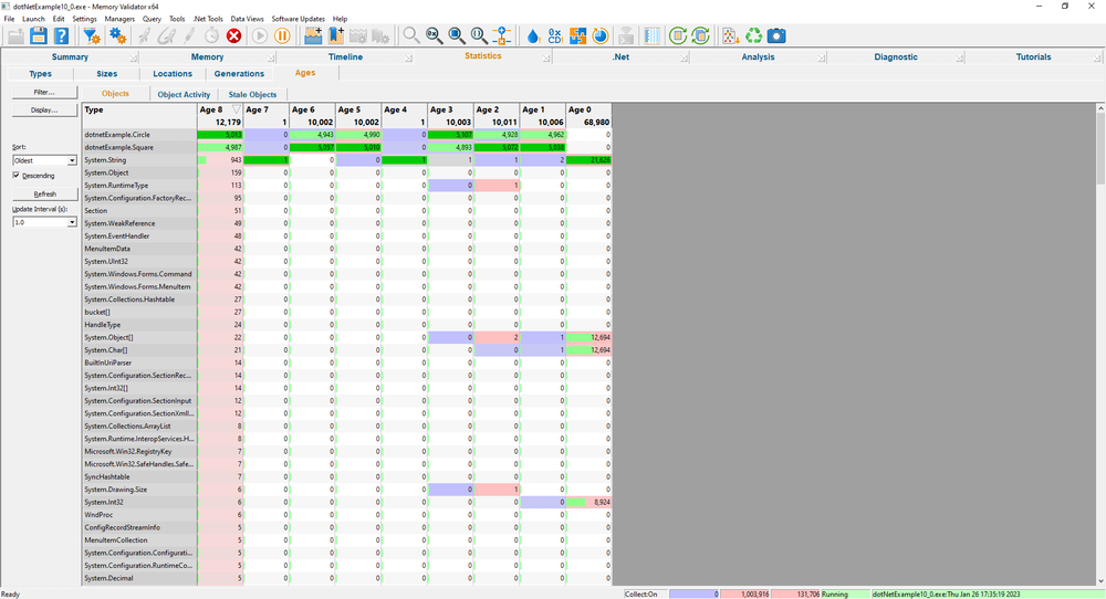 Memory Validator ages view