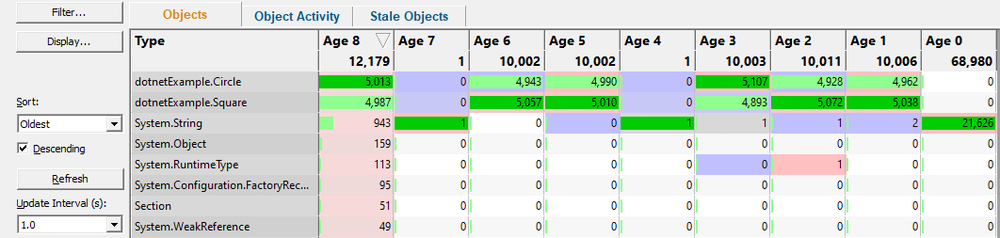 Memory Validator ages view detail