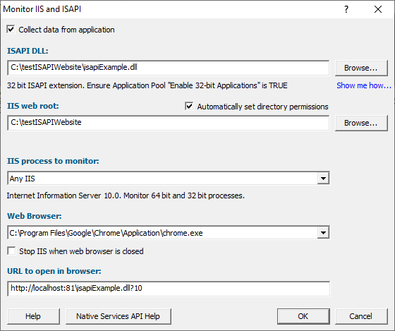 Bug Validator launch IIS and ISAPI dialog